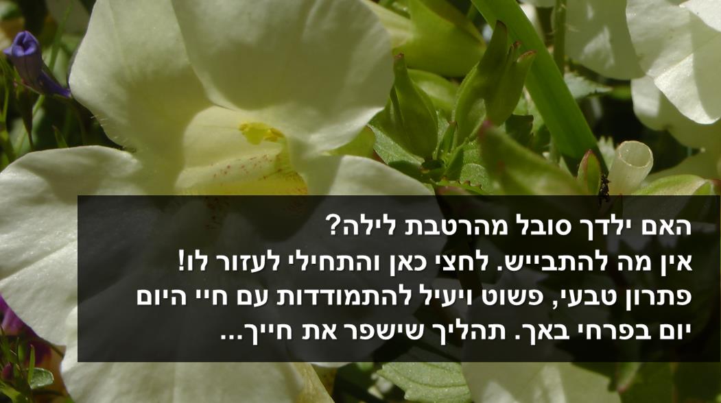 פירחי באך - רוני בן דוד - הרטבת לילה ילדים