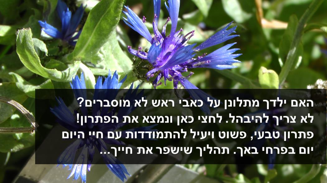 פירחי באך - רוני בן דוד - טיפול טבעי בכאבי ראש אצל ילדים