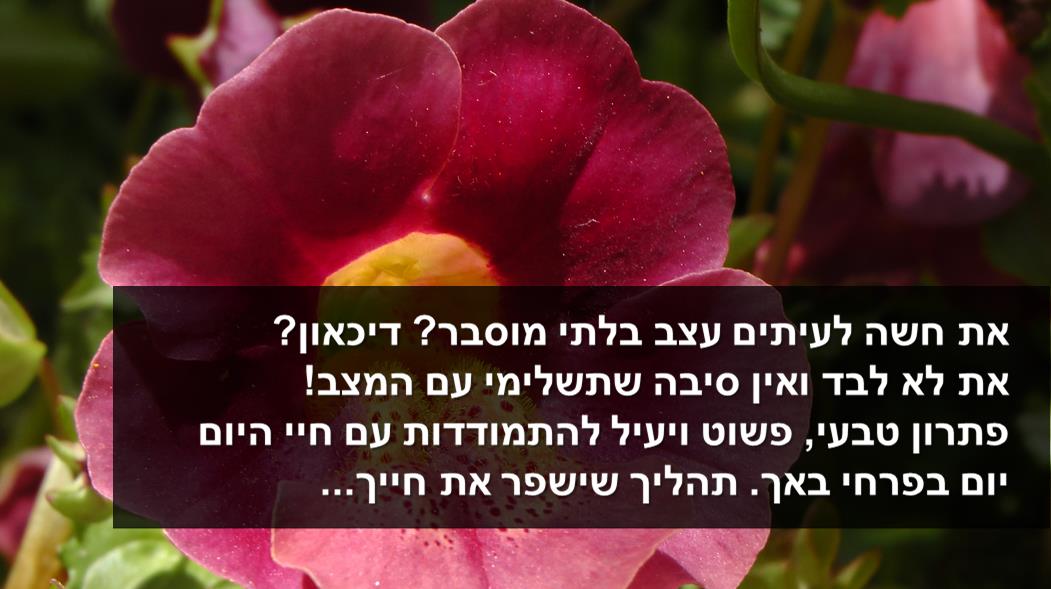פירחי באך - רוני בן דוד - טיפול טבעי בדיכאון אחרי לידה - חוסר אנרגיה ותשישות