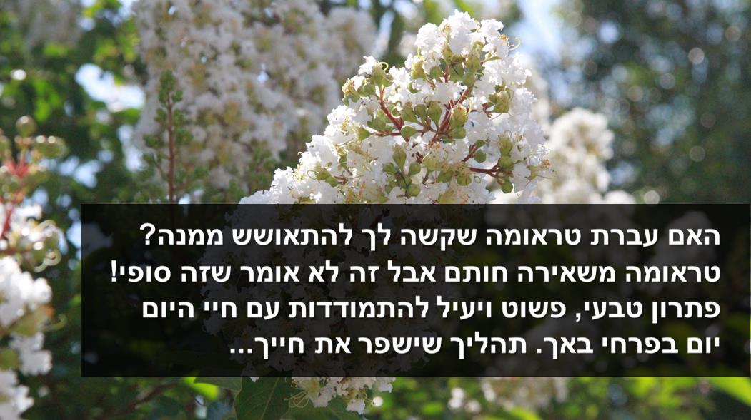פירחי באך - רוני בן דוד - טיפול טבעי פחדים וחרדות אצל נשים